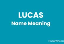 Lucas Name Meaning, Origin, Popularity and Nicknames Lucas Name Meaning