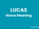 Lucas Name Meaning, Origin, Popularity and Nicknames Lucas Name Meaning