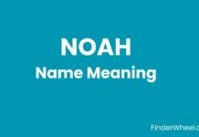 Noah Name Meaning, Origin, Popularity and Nicknames Noah Name Meaning