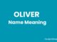 Oliver Name Meaning, Origin, Popularity and Nicknames Oliver Name Meaning