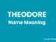 Theodore Name Meaning, Origin, Popularity and Nicknames Theodore Name Meaning