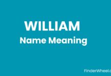 William Name Meaning, Origin, Popularity and Nicknames William Name Meaning