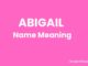Abigail Name Meaning, Origin, Popularity and Nicknames Abigail Name Meaning, Origin, Popularity and Nicknames