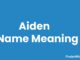 Aiden Name Meaning, Origin, Popularity and Nicknames Aiden Name Meaning