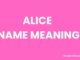 Alice Name Meaning, Origin, Popularity and Nicknames Alice Name Meaning