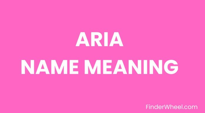Aria Name Meaning, Origin, Popularity and Nicknames Aria Name Meaning, Origin, Popularity and Nicknames