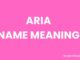 Aria Name Meaning, Origin, Popularity and Nicknames Aria Name Meaning, Origin, Popularity and Nicknames