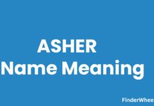 Asher Name Meaning, Origin, Popularity and Nicknames Asher Name Meaning