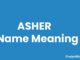 Asher Name Meaning, Origin, Popularity and Nicknames Asher Name Meaning