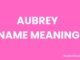 Aubrey Name Meaning, Origin, Popularity and Nicknames Aubrey Name Meaning