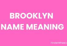 Brooklyn Name Meaning, Origin, Popularity and Nicknames Brooklyn Name Meaning
