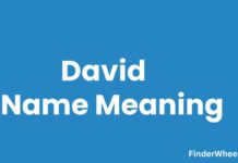 David Name Meaning, Origin, Popularity and Nicknames David Name Meaning