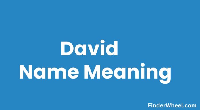David Name Meaning, Origin, Popularity and Nicknames David Name Meaning