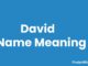 David Name Meaning, Origin, Popularity and Nicknames David Name Meaning
