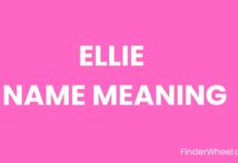 Ellie Name Meaning, Origin, Popularity and Nicknames Ellie Name Meaning, Origin, Popularity and Nicknames