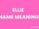 Ellie Name Meaning, Origin, Popularity and Nicknames Ellie Name Meaning, Origin, Popularity and Nicknames