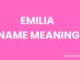 Emilia Name Meaning, Origin, Popularity and Nicknames Emilia Name Meaning, Origin, Popularity and Nicknames