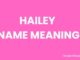 Hailey Name Meaning, Origin, Popularity and Nicknames Hailey Name Meaning