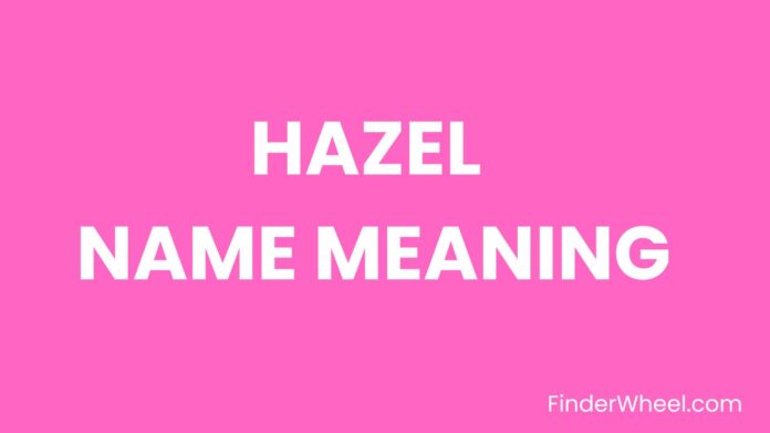 Hazel Name Meaning, Origin, Popularity and Nicknames