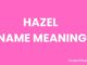 Hazel Name Meaning, Origin, Popularity and Nicknames Hazel Name Meaning, Origin, Popularity and Nicknames