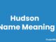 Hudson Name Meaning, Origin, Popularity and Nicknames Hudson Name Meaning