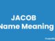 Jacob Name Meaning, Origin, Popularity and Nicknames Jacob Name Meaning