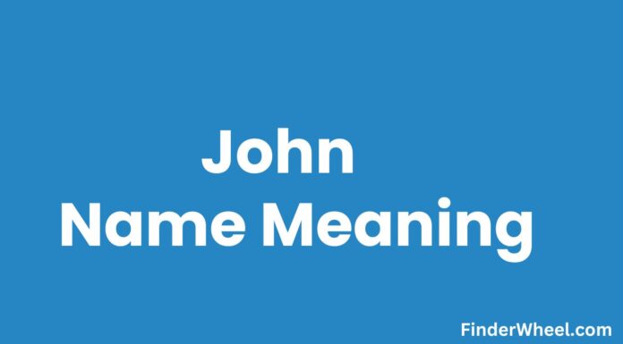 John Name Meaning, Origin, Popularity and Nicknames John Name Meaning