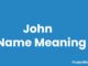 John Name Meaning, Origin, Popularity and Nicknames John Name Meaning