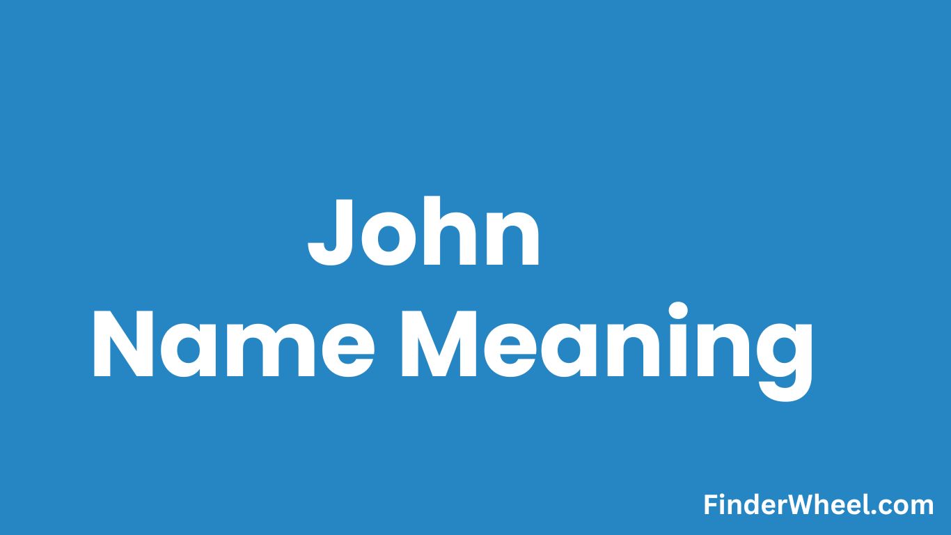 John Name Meaning