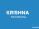 Krishna Name Meaning, Origin, Popularity and Nicknames Krishna Name Meaning, Origin, Popularity and Nicknames