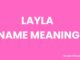 Layla Name Meaning, Origin, Popularity and Nicknames Layla Name Meaning, Origin, Popularity and Nicknames