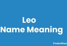 Leo Name Meaning, Origin, Popularity and Nicknames Leo Name Meaning