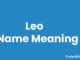 Leo Name Meaning, Origin, Popularity and Nicknames Leo Name Meaning