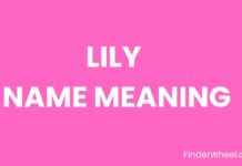 Lily Name Meaning, Origin, Popularity and Nicknames Lily Name Meaning, Origin, Popularity and Nicknames