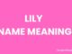 Lily Name Meaning, Origin, Popularity and Nicknames Lily Name Meaning, Origin, Popularity and Nicknames