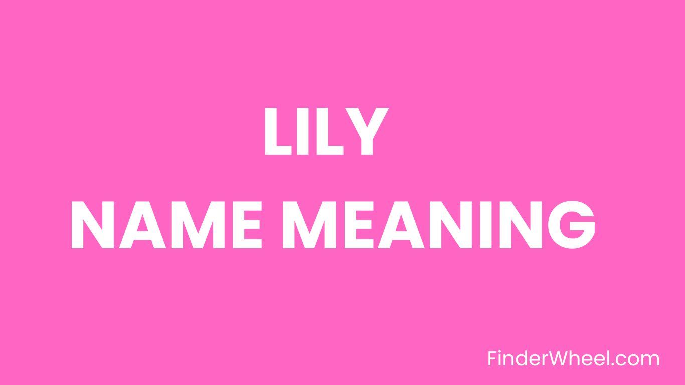 Lily Name Meaning, Origin, Popularity and Nicknames