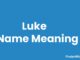 Luke Name Meaning, Origin, Popularity and Nicknames Luke Name Meaning