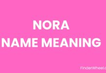 Nora Name Meaning, Origin, Popularity and Nicknames Nora Name Meaning, Origin, Popularity and Nicknames