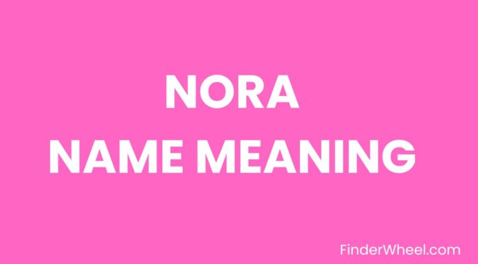 Nora Name Meaning, Origin, Popularity and Nicknames Nora Name Meaning, Origin, Popularity and Nicknames