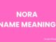 Nora Name Meaning, Origin, Popularity and Nicknames Nora Name Meaning, Origin, Popularity and Nicknames