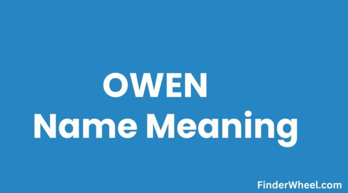 Owen Name Meaning, Origin, Popularity and Nicknames Owen Name Meaning