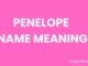 Penelope Name Meaning, Origin, Popularity and Nicknames Penelope Name Meaning, Origin, Popularity and Nicknames