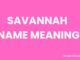 Savannah Name Meaning, Origin, Popularity and Nicknames Savannah Name Meaning
