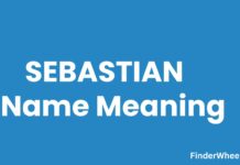Sebastian Name Meaning, Origin, Popularity and Nicknames Sebastian Name Meaning