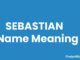 Sebastian Name Meaning, Origin, Popularity and Nicknames Sebastian Name Meaning