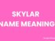 Skylar Name Meaning, Origin, Popularity and Nicknames Skylar Name Meaning