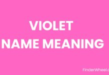Violet Name Meaning, Origin, Popularity and Nicknames Violet Name Meaning, Origin, Popularity and Nicknames