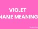 Violet Name Meaning, Origin, Popularity and Nicknames Violet Name Meaning, Origin, Popularity and Nicknames