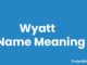 Wyatt Name Meaning, Origin, Popularity and Nicknames Wyatt Name Meaning