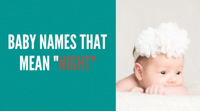 100+ Baby Names That Mean Night Baby Names That Mean Night